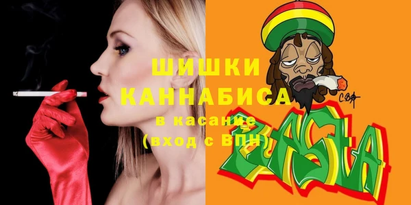 шишки Мегион