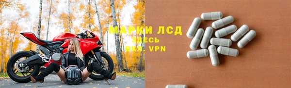 шишки Мегион