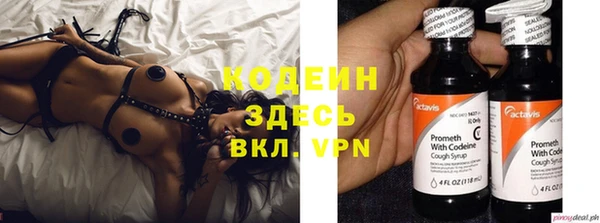 шишки Мегион