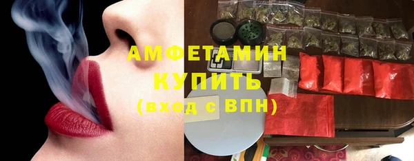 шишки Мегион