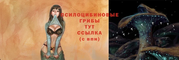 а пвп мука Медвежьегорск