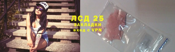 шишки Мегион