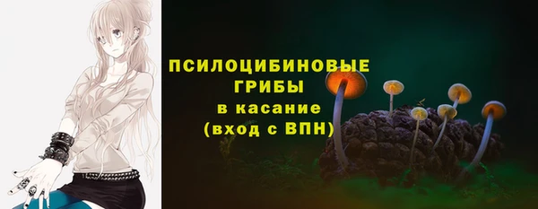 амф Медногорск