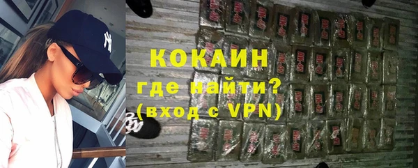 шишки Мегион