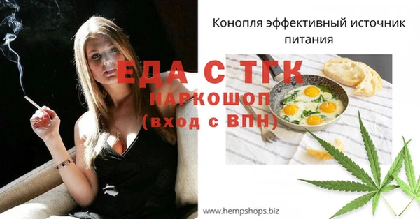 шишки Мегион