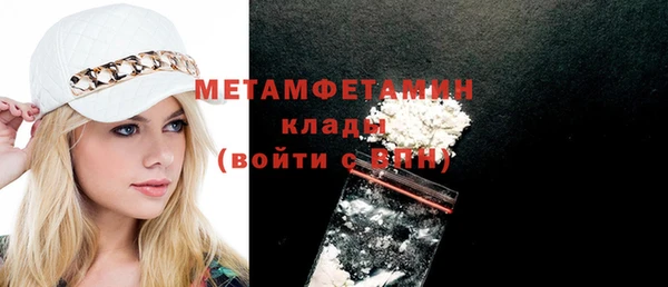шишки Мегион