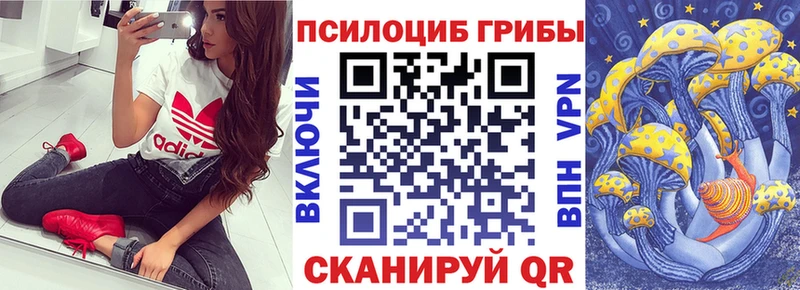 Псилоцибиновые грибы Psilocybe  Купить где  Сасово 